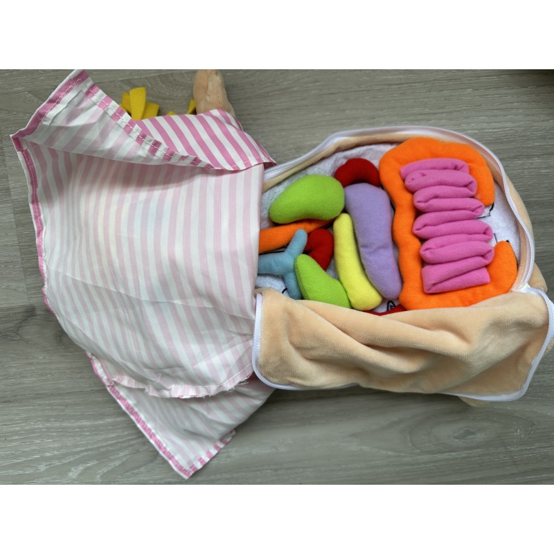 Human Organ Toy Manufacturer - Children's Cloth Body Structure Cognition Early