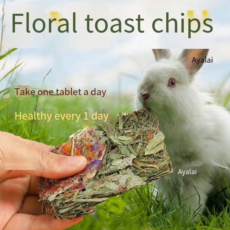 Dog T-Shirt Manufacturer - Wholesale Summer Classic Multicolor Cotton XS Size