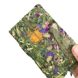 Plush Slippers Supplier - Cartoon for Kids Winter Paws Home Flip Flops