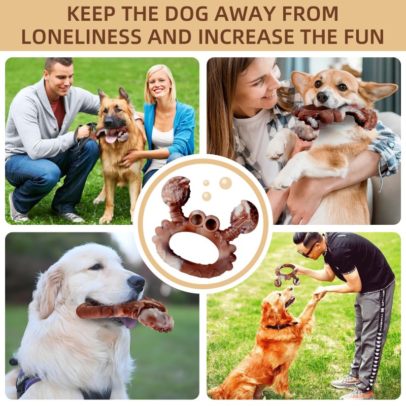 Dog Toothbrush Manufacturer - Organic Twist Stick Treats Comfortable Teeth Cleaning