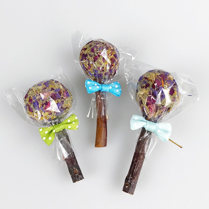 Swimming Pool Accessories Supplier - Little Turtle Duck Fun Water Chain Bath