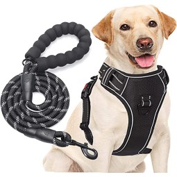 Dog Harness Manufacturer - 2022 Hot Sale Adjustable Nylon Reflective Soft Colorful