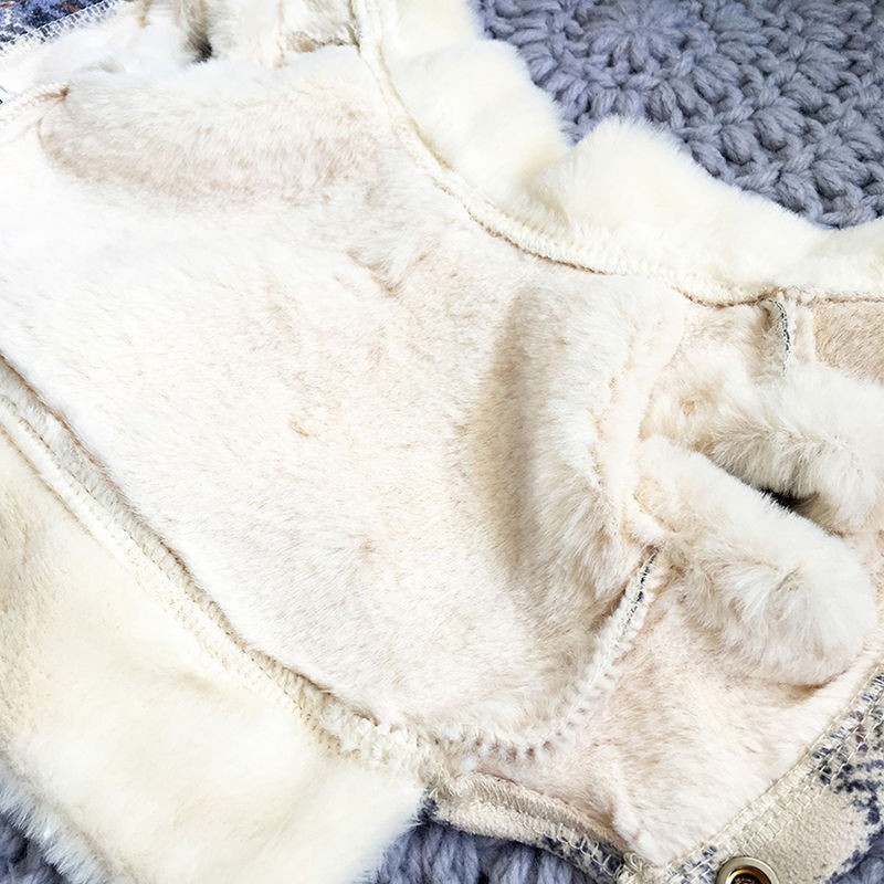 Pet Clothes Supplier - New Arrival Luxury Small Medium Winter Coat Fashion Print