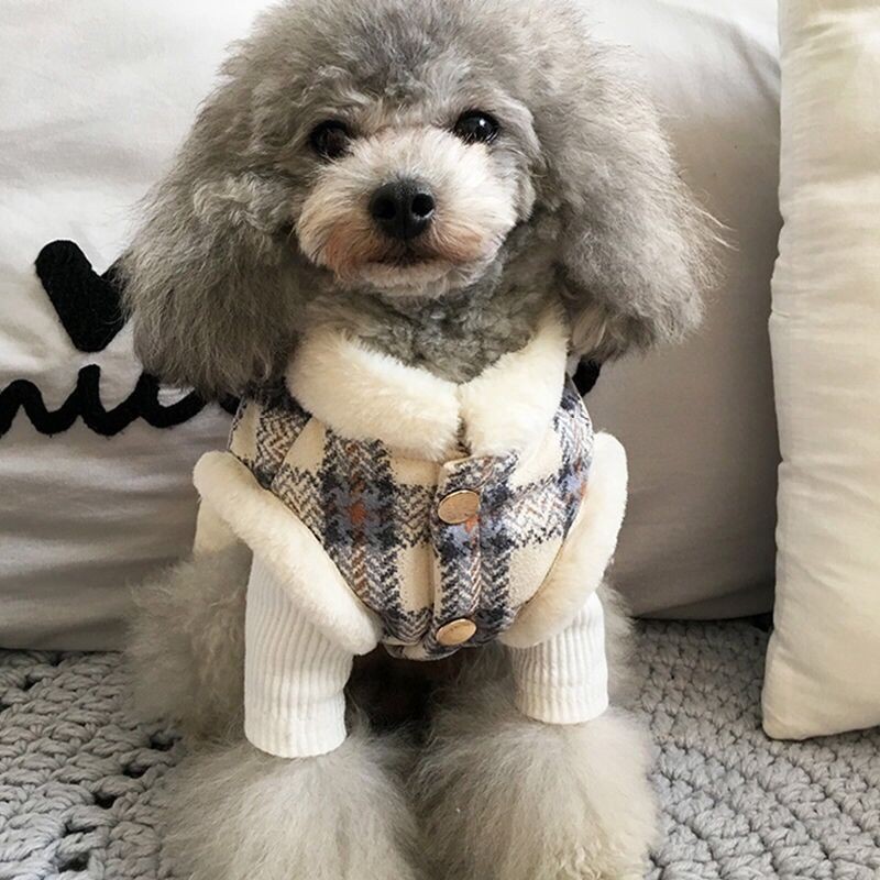 Pet Clothes Supplier - New Arrival Luxury Small Medium Winter Coat Fashion Print
