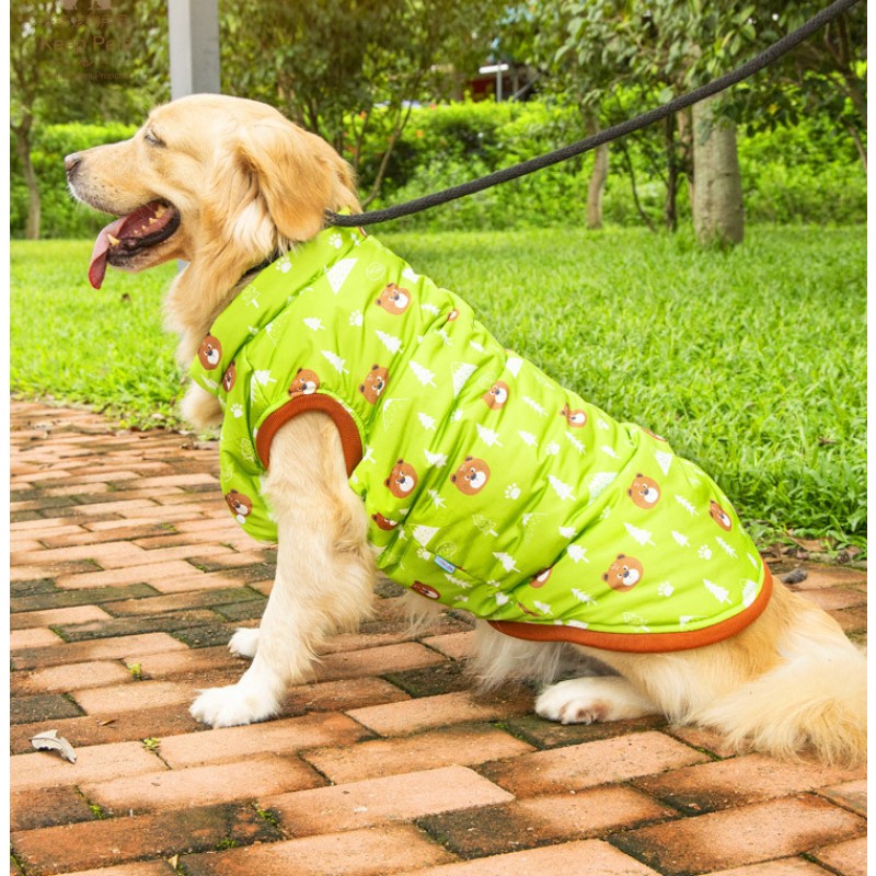 Dog Winter Clothes Factory - Modern Design Large Warm Windproof Thickened Printed