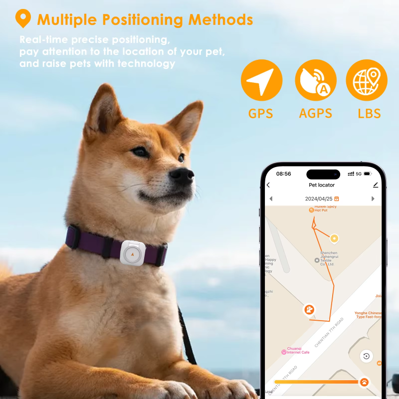 Pet Activity Monitor Supplier - GPS Tracker Measure Calories Steps Health Monitor