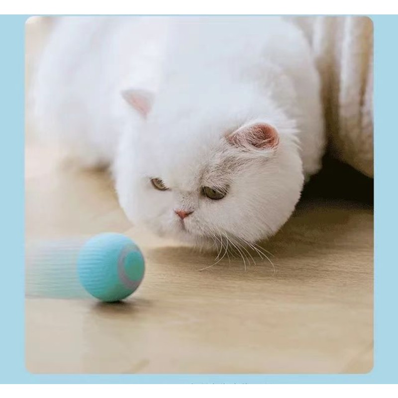 Electric Cat Toys Supplier - Self-moving Kitten Toy Automatic Rolling Smart Ball Training