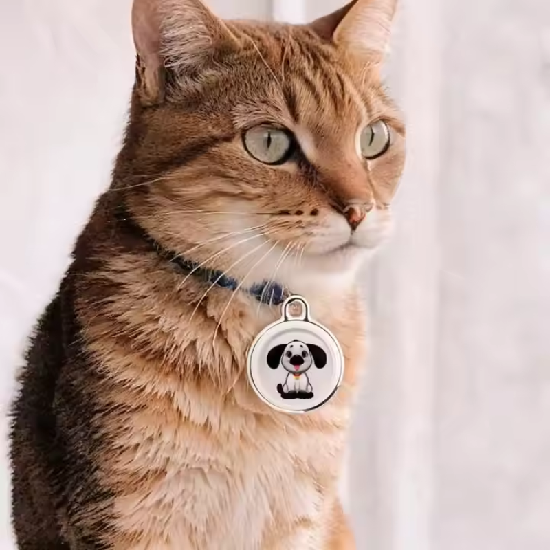 Pet Tracking Collar Manufacturer - Global Smart GPS Tracker Wireless Findmy Anti Lost