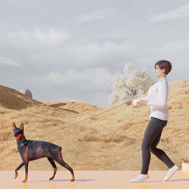 Dog Leash Supplier - Wholesale 5m Durable Automatic Retractable Nylon Extension