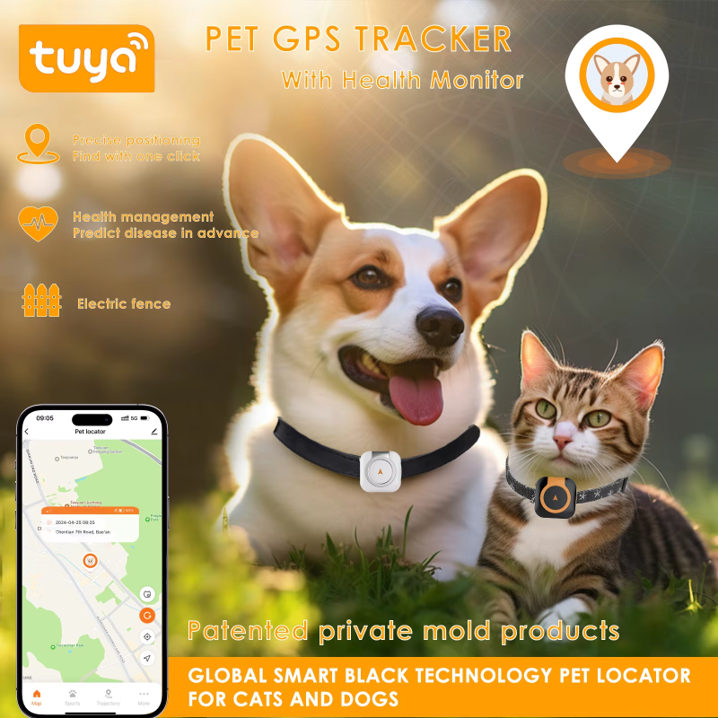 Pet Activity Monitor Supplier - GPS Tracker Measure Calories Steps Health Monitor