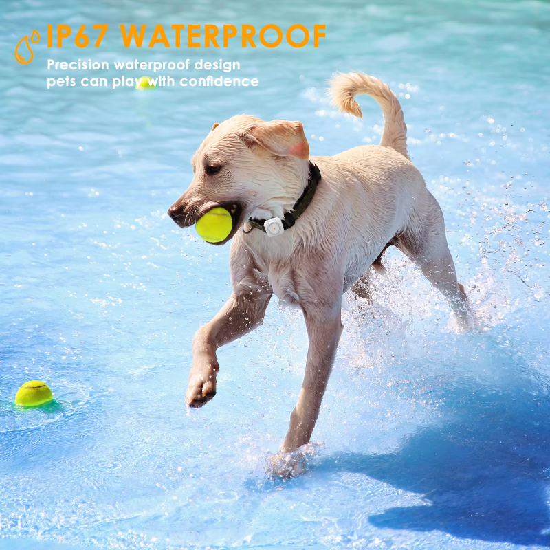 Mini Pet Tracker Manufacturer - Dog Cat Health Tracker Smart GPS Anti Lost Locator