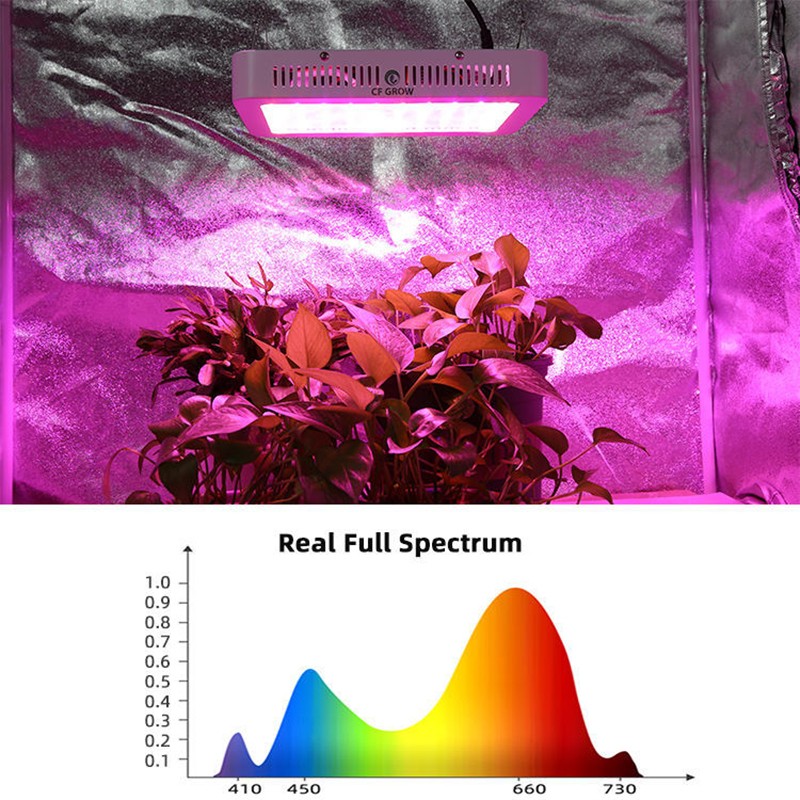 Plant Grow Light Supplier - 1000W Hydroponic Veg Flower Indoor