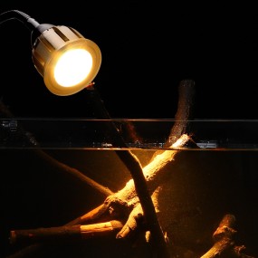 LED Spotlight Manufacturer - Remote Control 3 Colors Full Spectrum