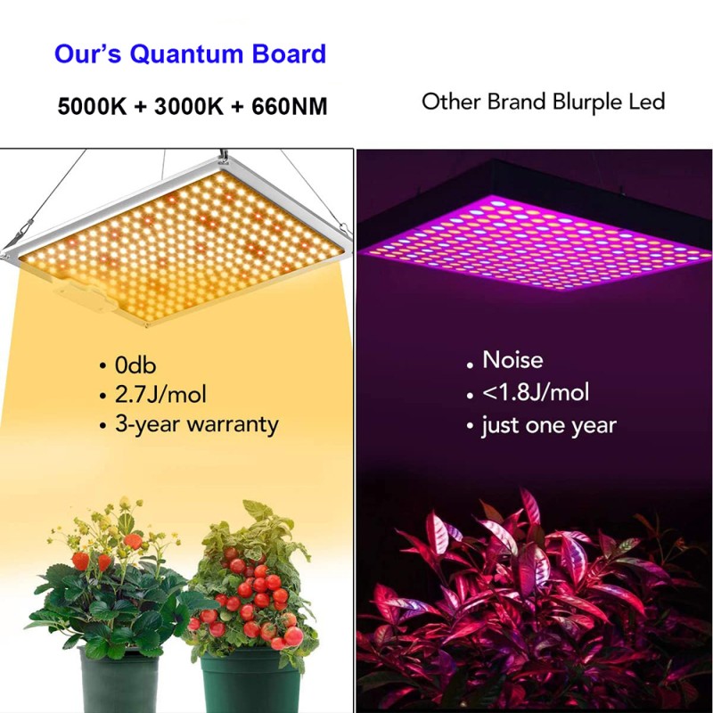 Plant Grow Lights Factory - Dimmable 2400W High PPFD Growth