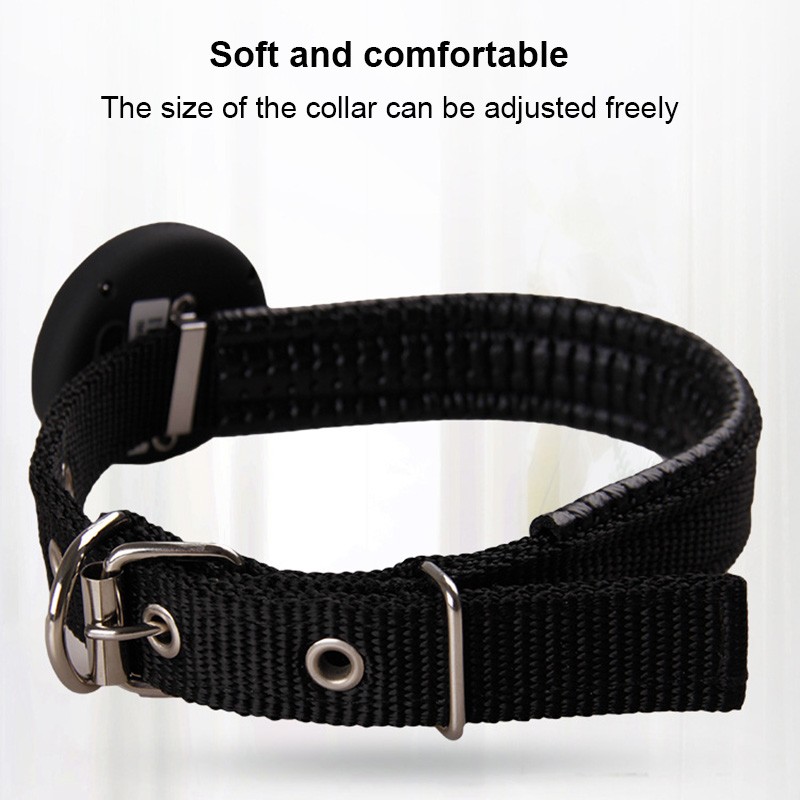 Pet GPS Tracker Supplier - Waterproof Collar Locator Position