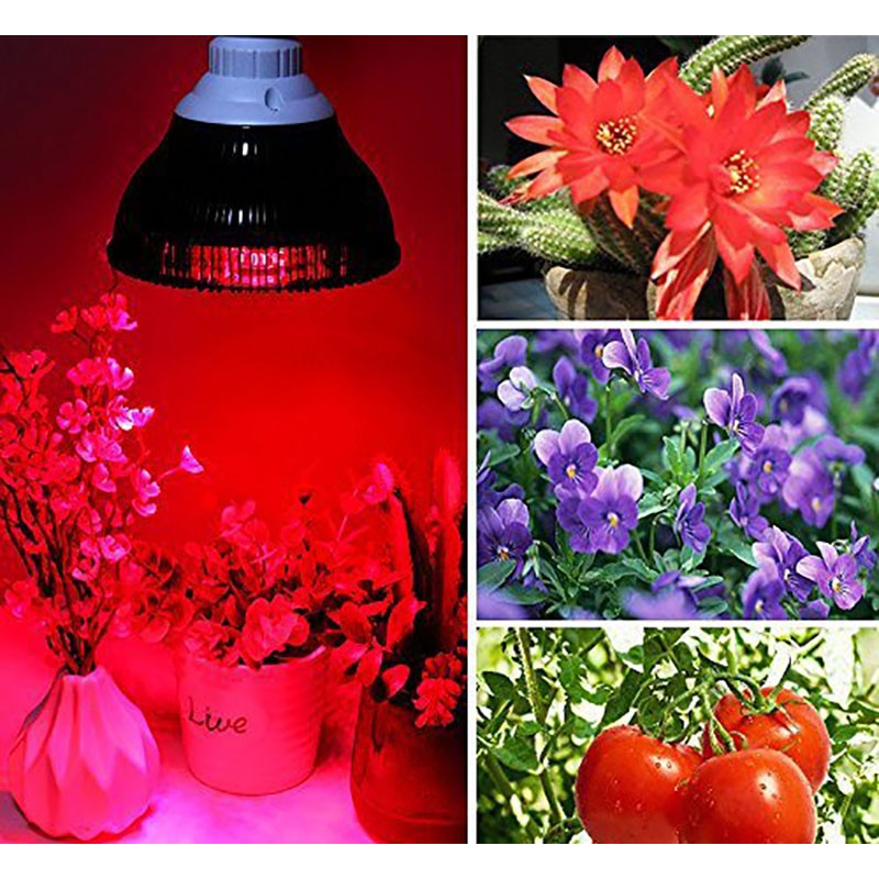 Grow Lights Bulb Factory - E27 54W Full Spectrum Hydroponics