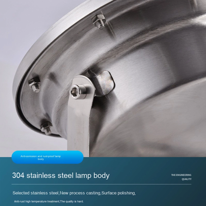 LED Pool Fountain Light Supplier - IP68 Stainless Steel Underwater