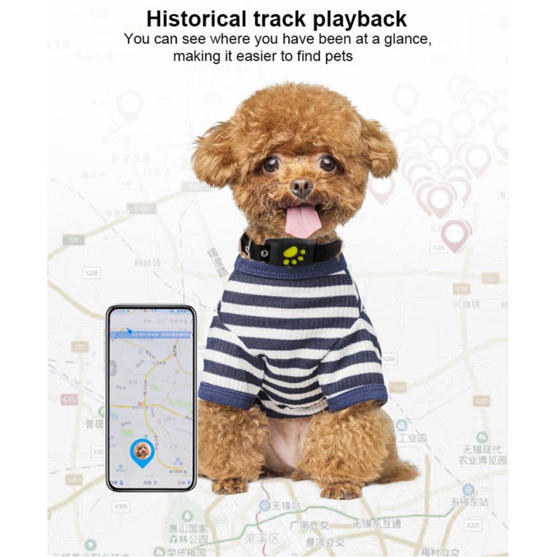 Pet GPS Tracker Supplier - Waterproof Collar Locator Position