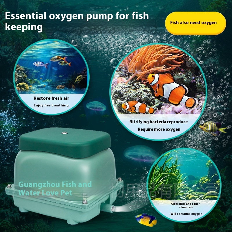 Fish Tank Oxygen Pump Supplier - Jebao Jecod Silent High Power