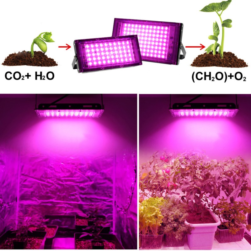 Phyto Lamp Manufacturer - Full Spectrum 200W Hydroponics System