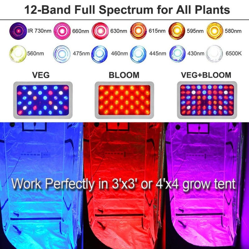 Led Grow Light Factory - 2000W Greenhouse Indoor Phytolamp