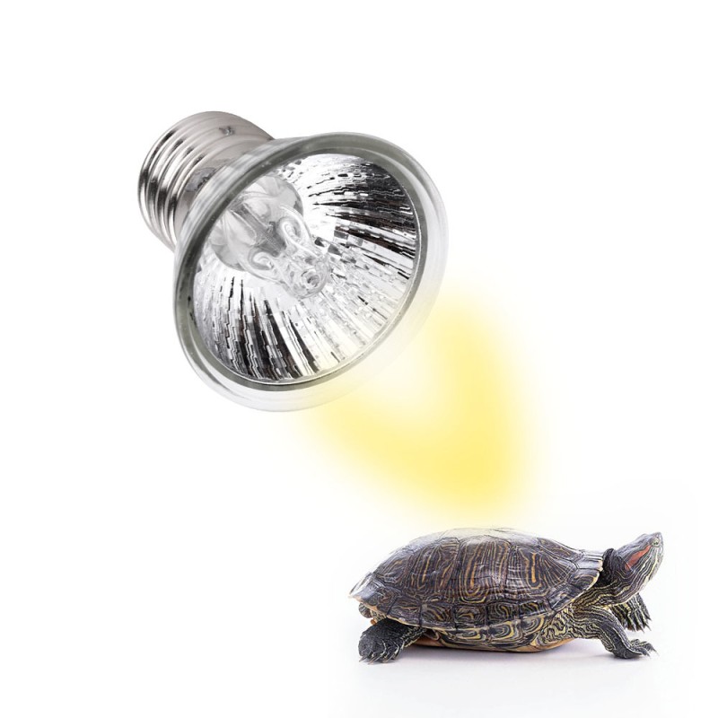 Reptile Lamp Bulb Supplier - 25/50/75W UVA+UVB Basking Light