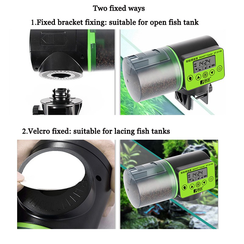 Smart Fish Feeder Manufacturer - LCD Digital Timer Feeding Dispenser
