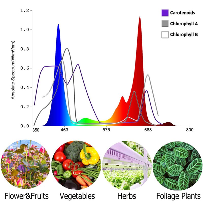 Led Grow Light Factory - 2000W Greenhouse Indoor Phytolamp