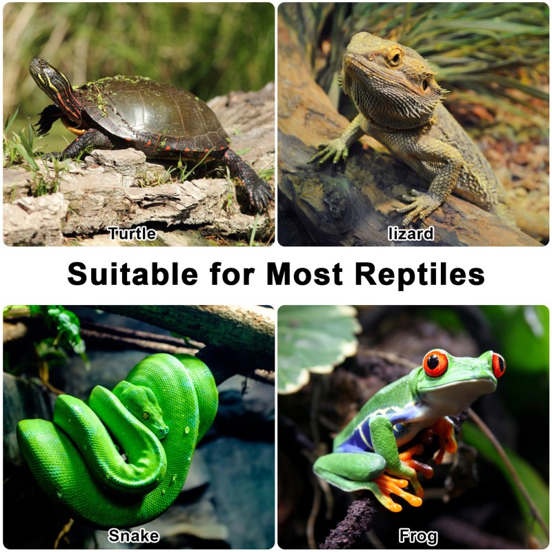 Reptile Basking Lamp Manufacturer - 360 Rotatable Clip Timer