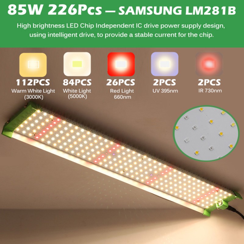 Plant Grow Light Manufacturer - Mute 85W Indoor Phyto Lamp