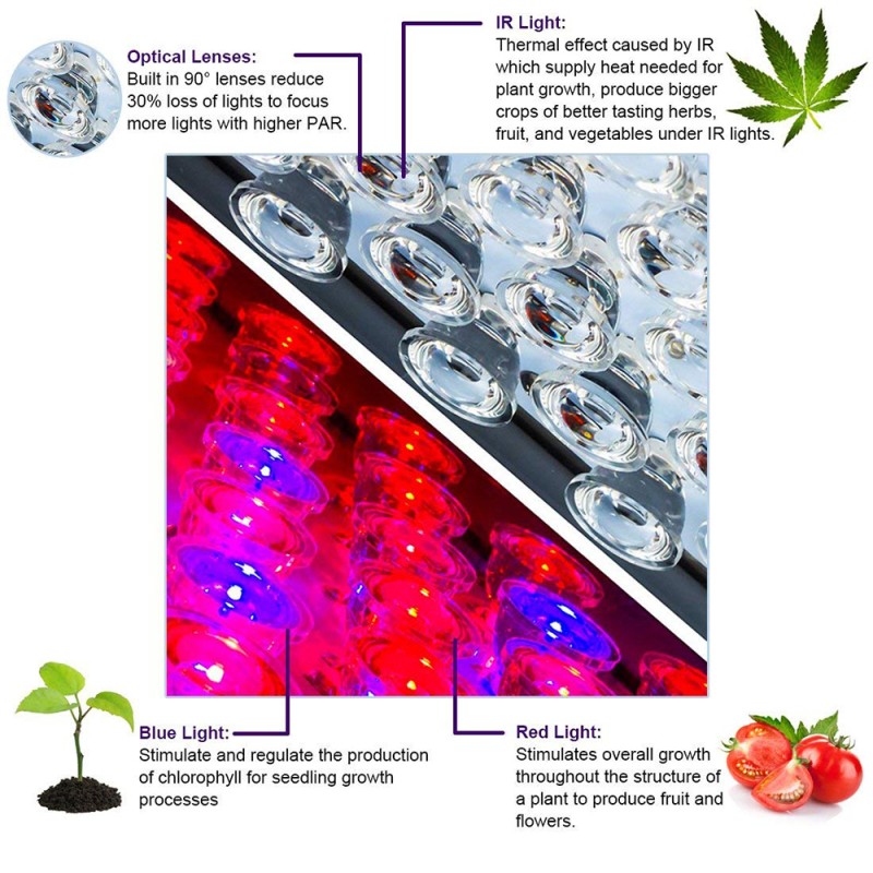 Led Grow Light Factory - 2000W Greenhouse Indoor Phytolamp