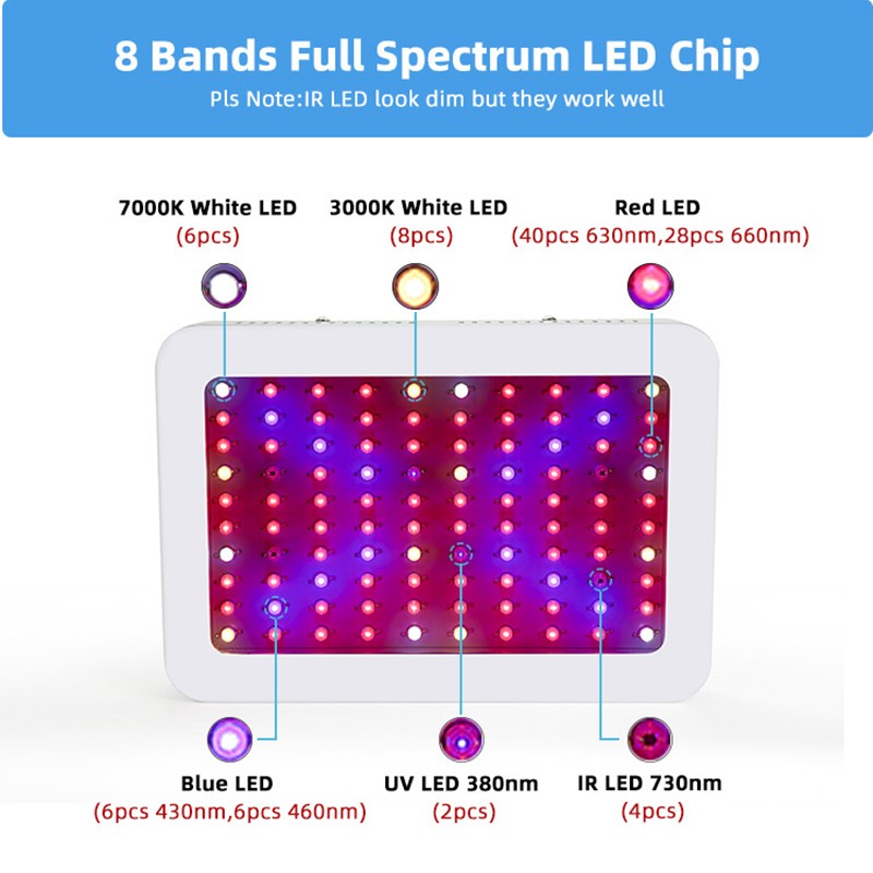 Plant Grow Light Supplier - 1000W Hydroponic Veg Flower Indoor