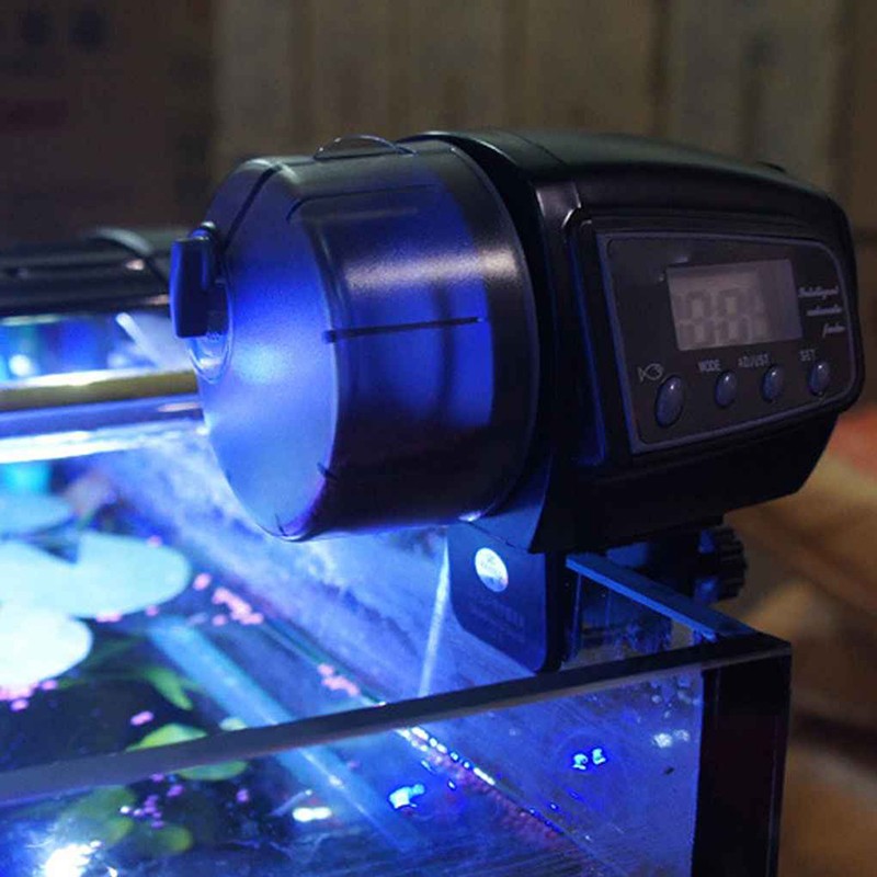 Automatic Fish Feeder Supplier - Timer Pet Feeding Food Dispenser