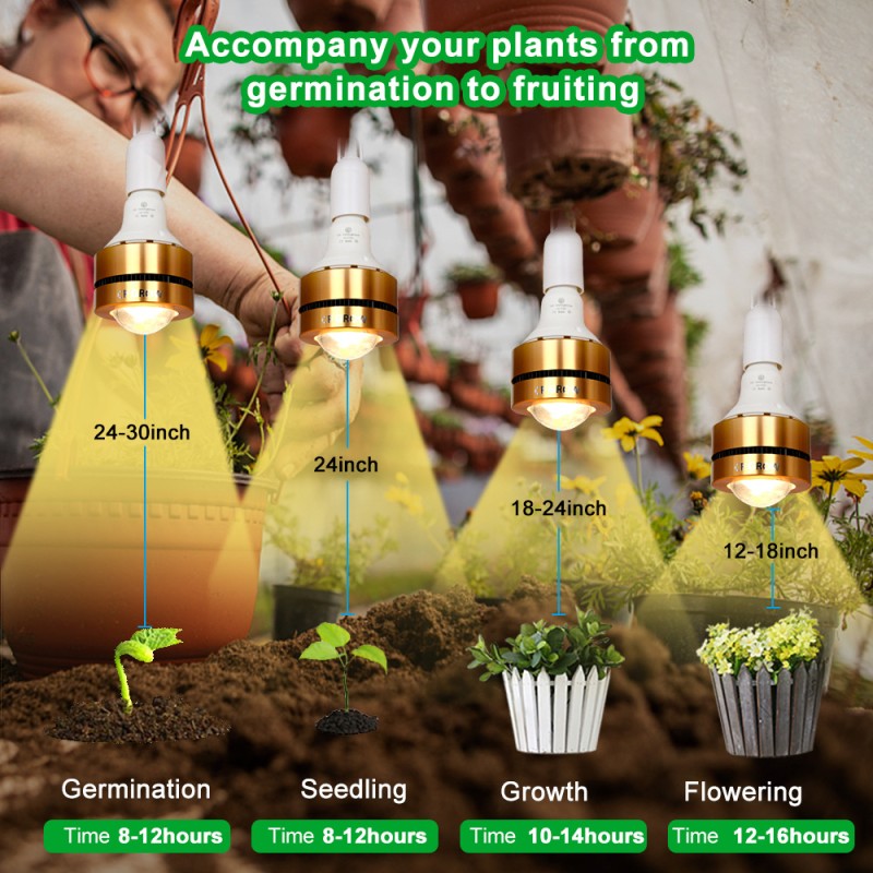 LED Grow Light Manufacturer - High End E27 Full Spectrum Phytolamp