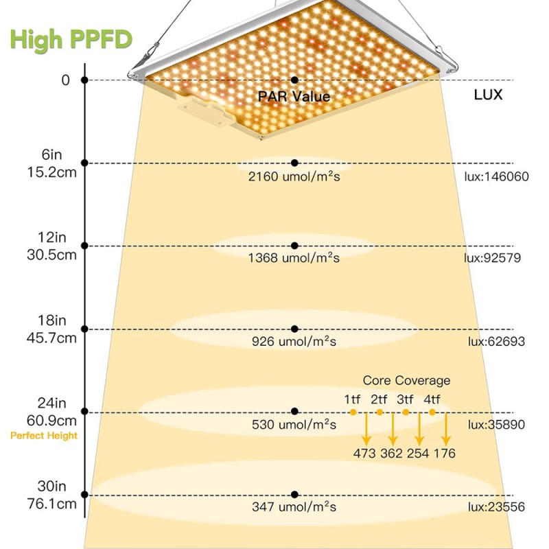 Plant Grow Lights Factory - Dimmable 2400W High PPFD Growth