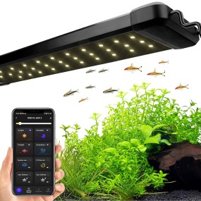 Smart Aquarium Light Manufacturer - App Control Full Spectrum Timer