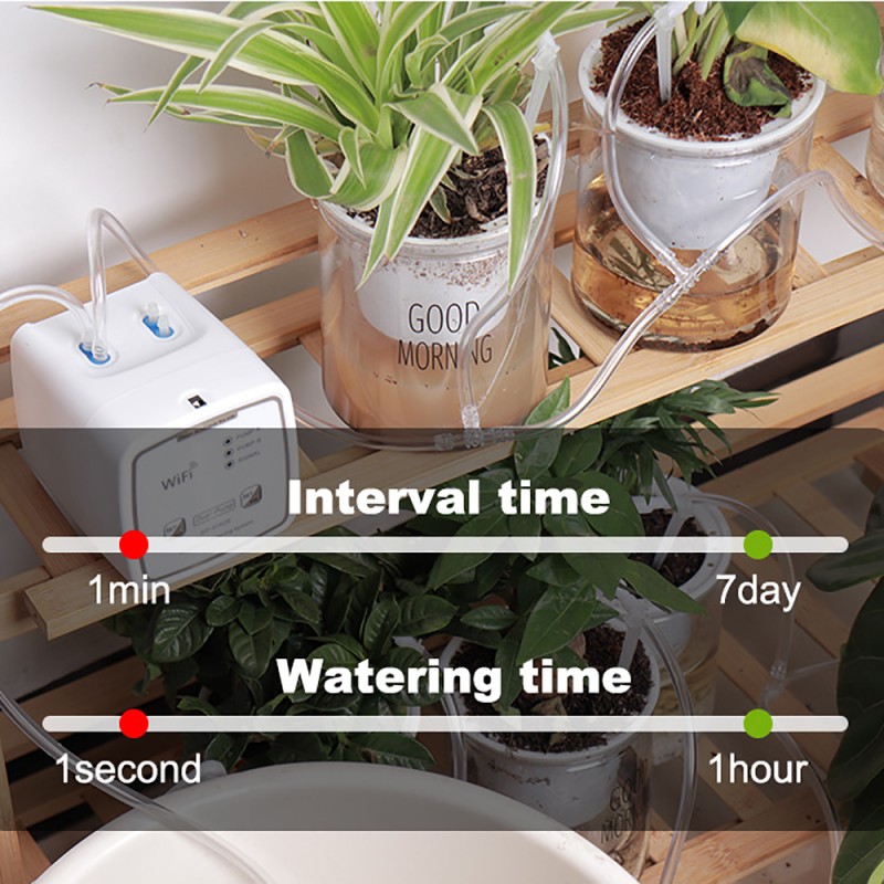 Automatic Watering Device Supplier - WIFI Intelligent Double Pump