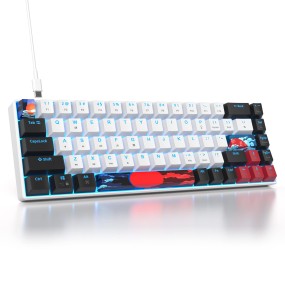 Mechanical Keyboard Supplier - 68-Key 60% Gaming LED Backlit Wired Custom Switches