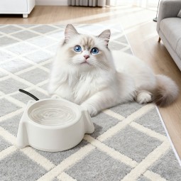 Constant Temperature Pet Feeder Manufacturer - Cat Dog Rabbit Water Bowl Anti-bite