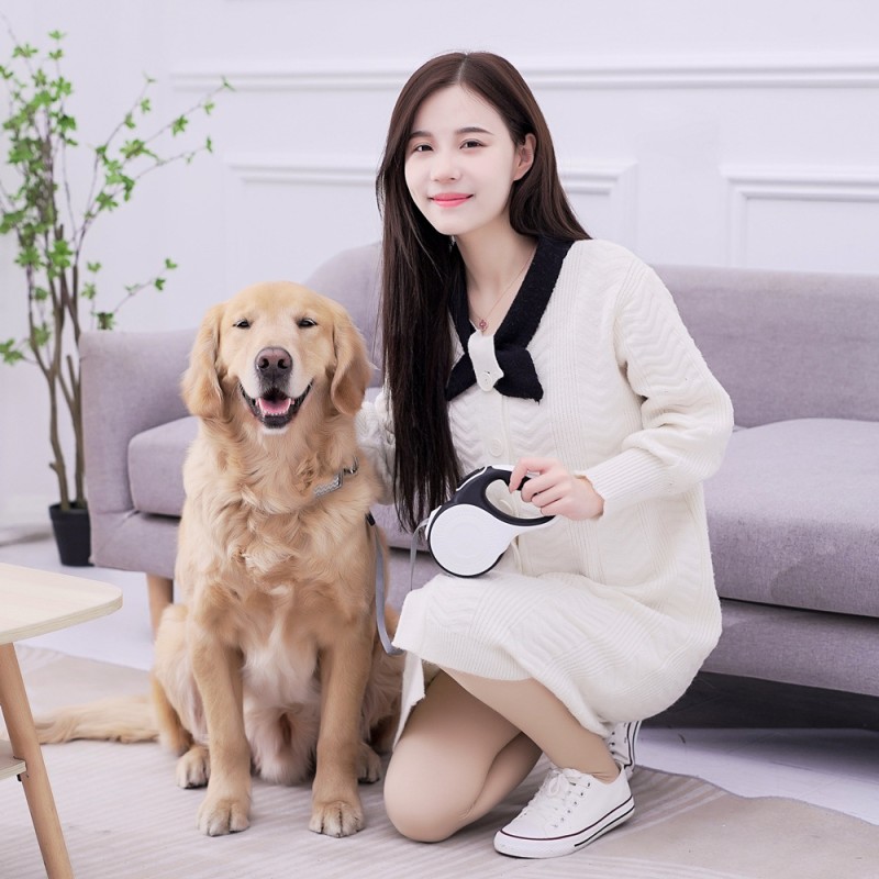 Automatic Dog Leash Manufacturer - Roulette LED Flashlight 5M/8M