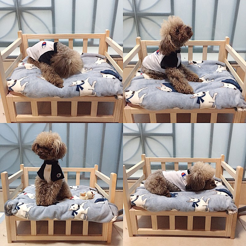 Dog Mats Supplier - Soft Fleece Printed Pattern Bullterrier