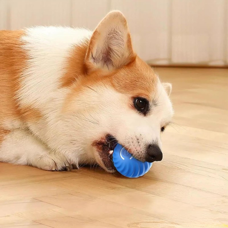 USB Pet Ball Supplier - Rechargeable LED Motion Activated