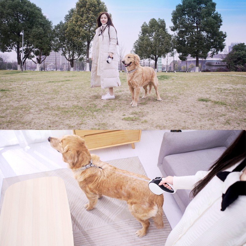 Automatic Dog Leash Manufacturer - Roulette LED Flashlight 5M/8M