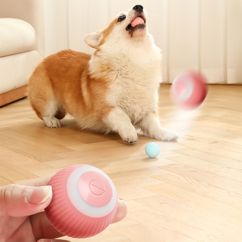 Electric Pet Toy Manufacturer - Durable Auto-Rolling Puppy Ball