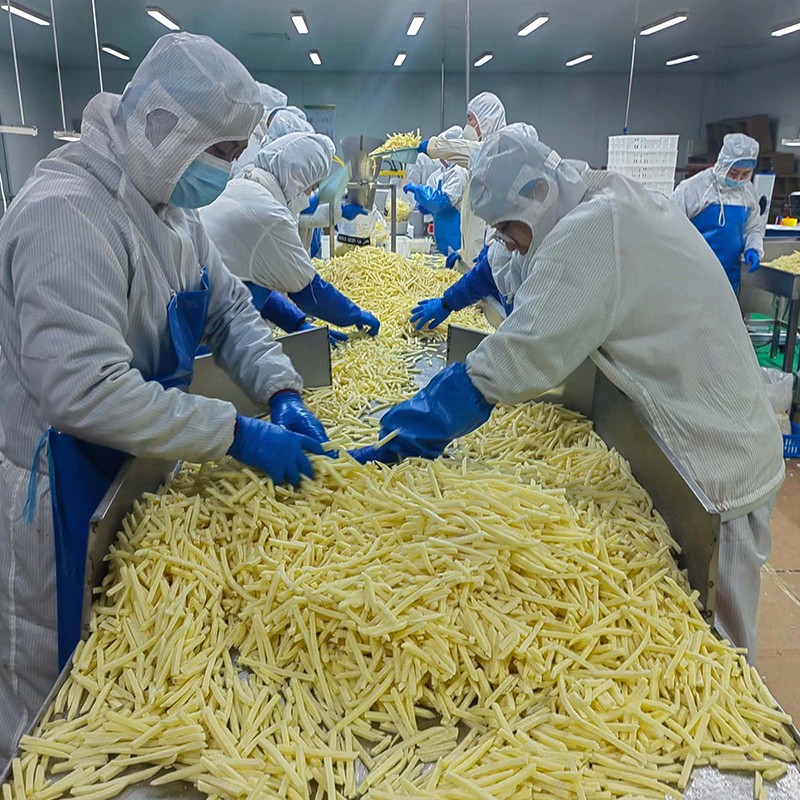 Frozen French Fries Factory - OEM Vegan Potato Finger Chips