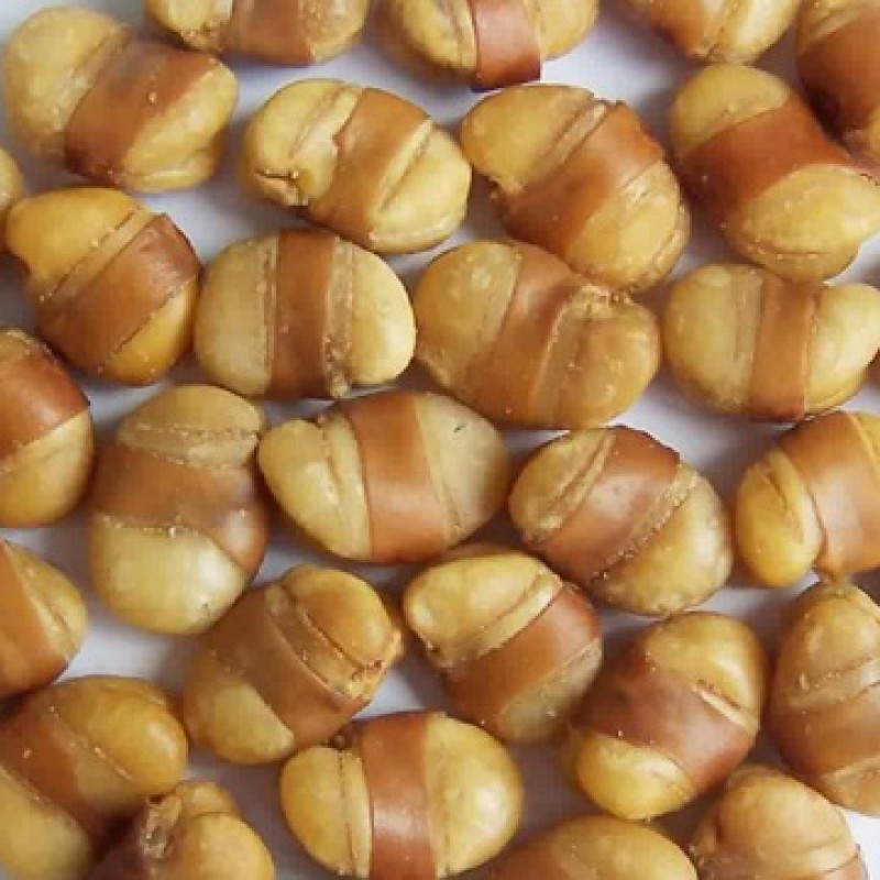Belted Broad Beans Manufacturer - OEM Salted Wholesale Snacks