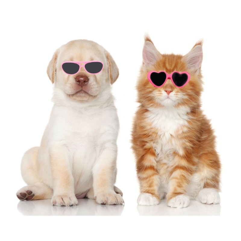 Pet Glasses Factory - Factory Direct Supply Cute Christmas Funny Heart-shaped Sunglasses