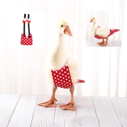 Pet Clothes Factory - Chicken Duck Clothes Diapers Adjustable Multi-color Comfortable