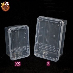 Small Reptile Box Supplier - 19x12.5x7.5cm for Spider Gecko Snake Scorpion Centipede