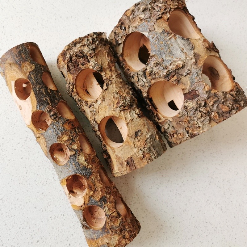 Wooden Gnawing Stick Manufacturer - Safe Eco-Friendly for Parrot Rabbit Molar Bird Guinea